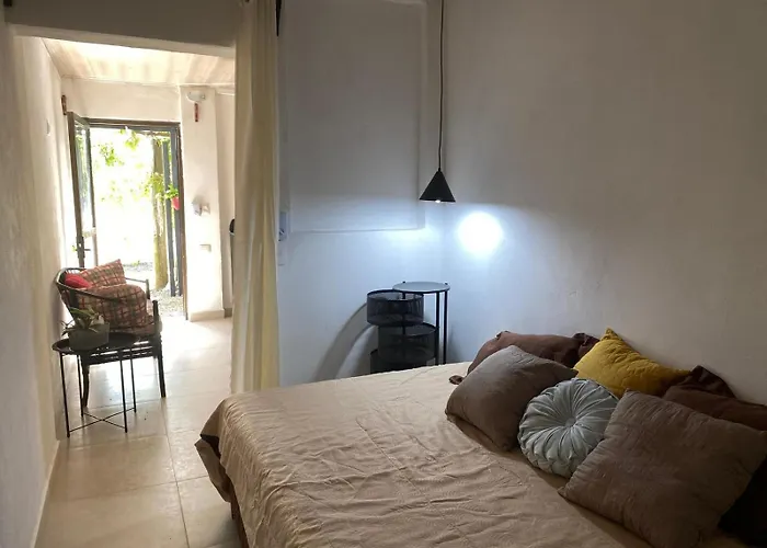 Pacifica Experience Tamarindo